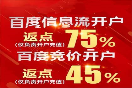 优化SEM竞价策略：成功案例剖析